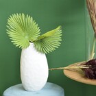 Folha De Latania Artificial Toque Real | Formosinha